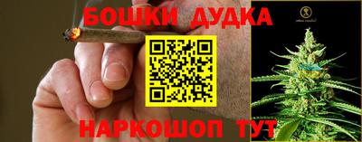 мдпв Аргун