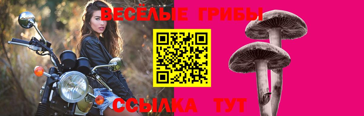Видное  Галлюциногенные грибы GOLDEN TEACHER  Вход с VPN  Галлюциногенные грибы ЛСД 